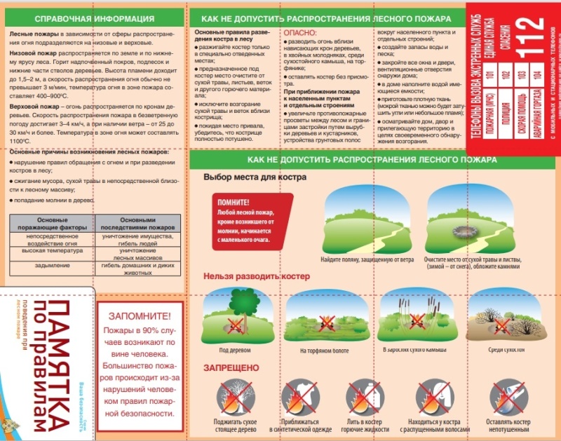 Как не допустить распространения лесного пожара.
