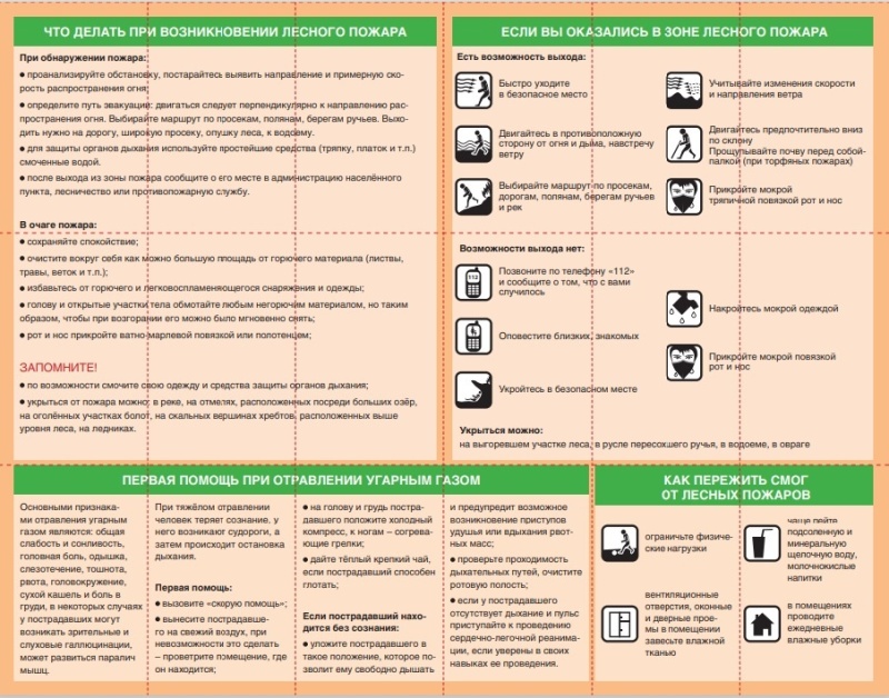 Что делать при распространении лесного пожара.